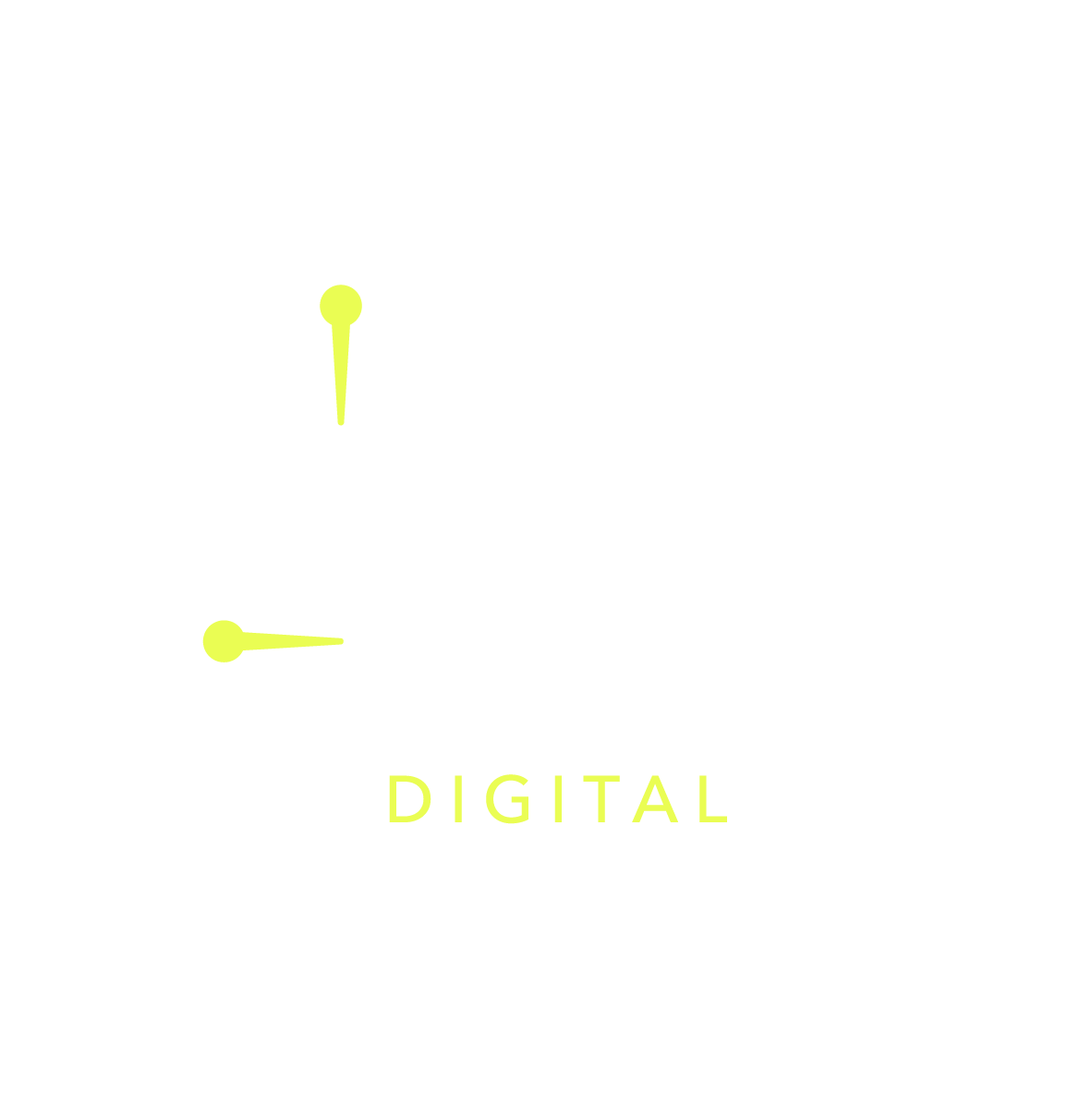 Voodoo Digital
