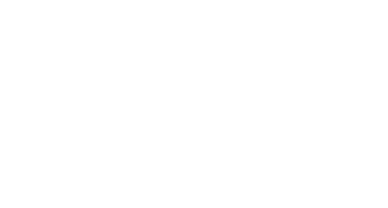 Flurrty
